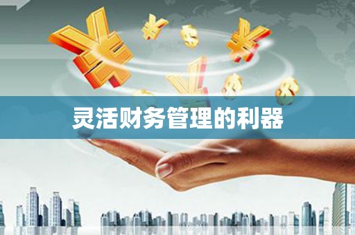 龙崎灵活财务管理的利器