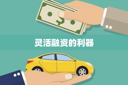 略阳灵活融资的利器