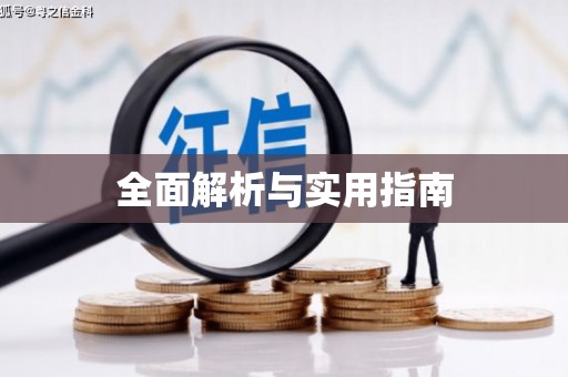 茅箭全面解析与实用指南