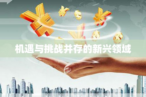 聂拉木机遇与挑战并存的新兴领域