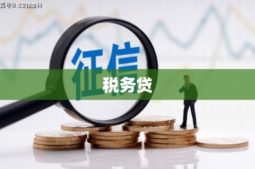 颍上税务贷