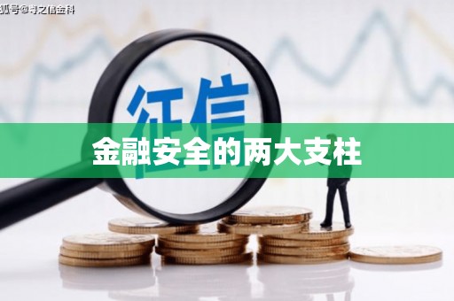 兴国金融安全的两大支柱