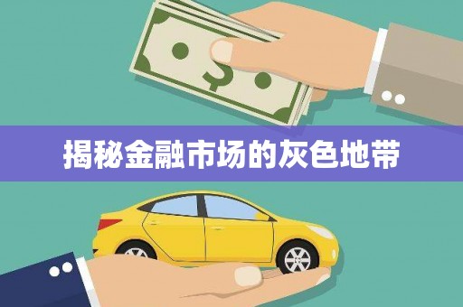 兴国揭秘金融市场的灰色地带