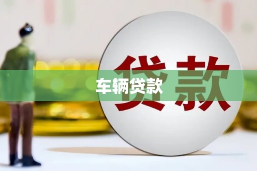 永善车辆贷款