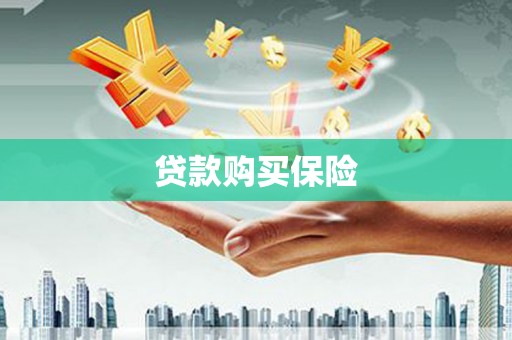 阿拉善右旗贷款购买保险