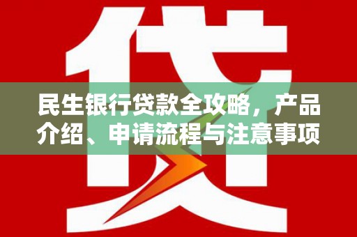雅江民生银行贷款全攻略，产品介绍、申请流程与注意事项